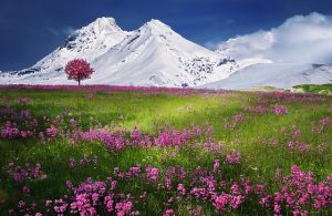Globaler Sommer
