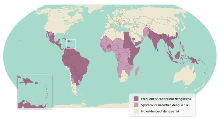 Dengue Fieber Symptome Verlauf Neuer Impfstoff 2023